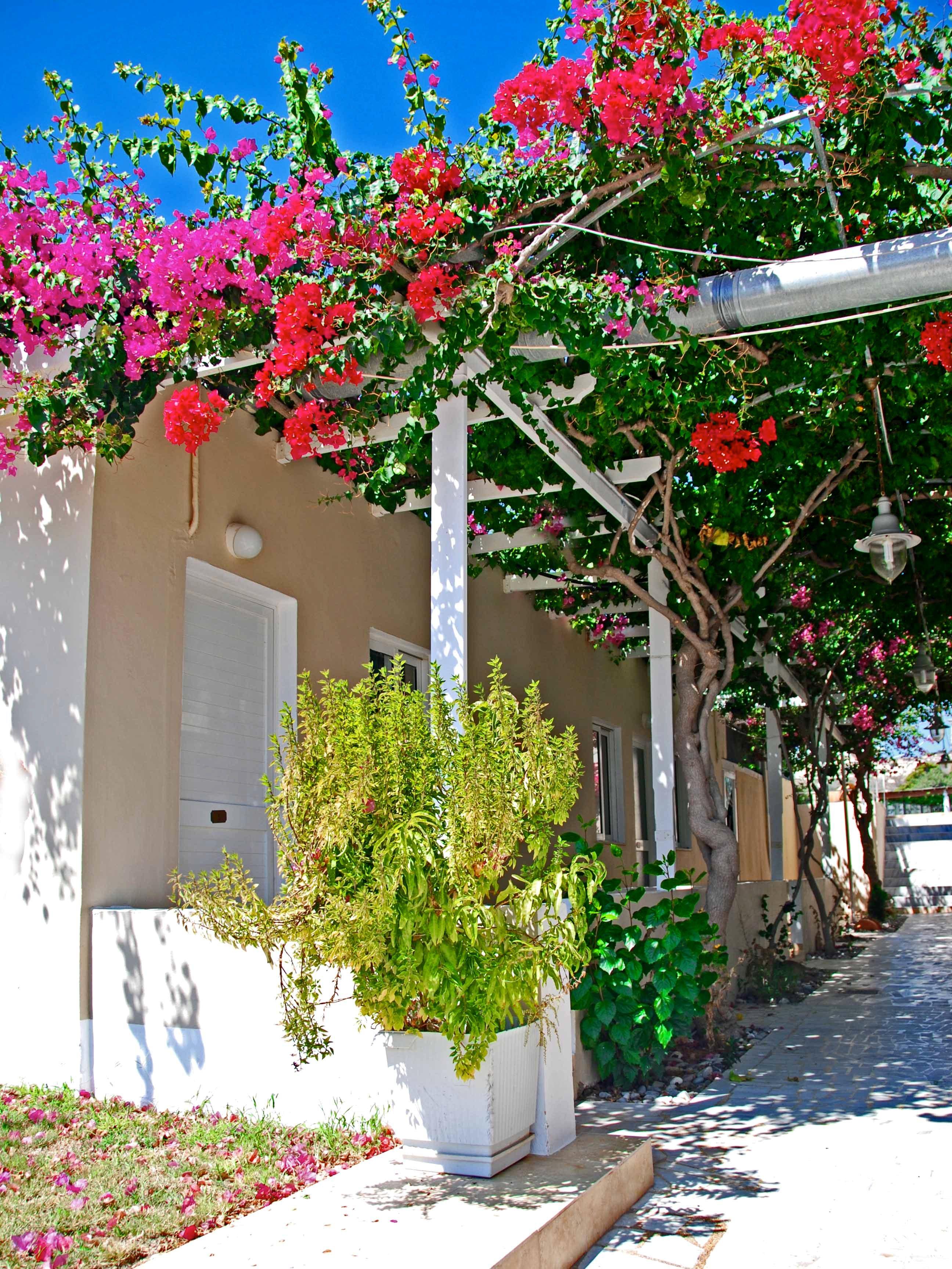 Sacallis Hotel 2*
